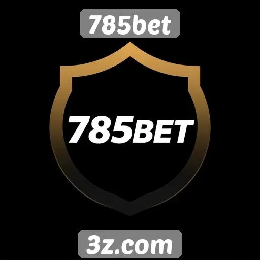 Segurança e privacidade no site 785bet